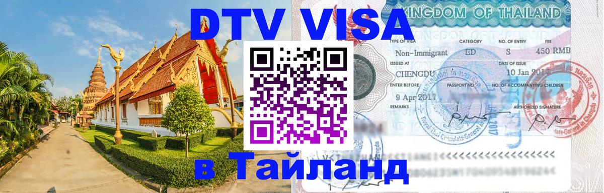Оформление DTV визы под ключ: стоимость и тарифы, только загранпаспорт - Липецк 